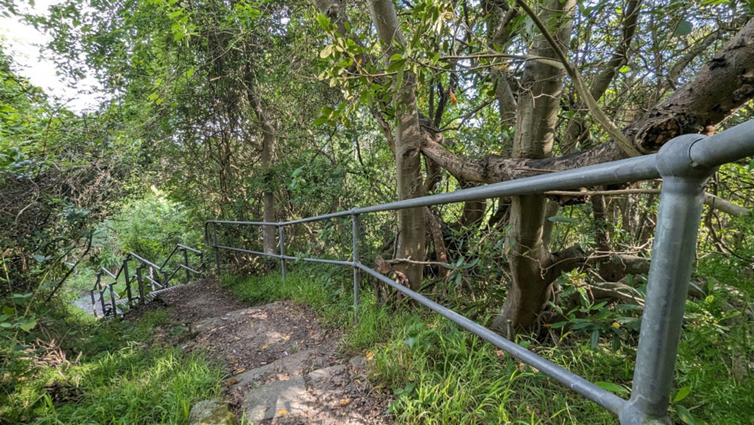 Join Us for Clean Up Australia Day
